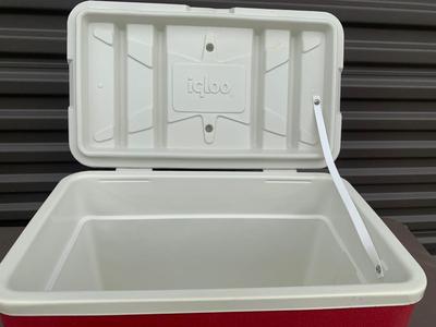 NICE IGLOO AND GOTT COOLERS