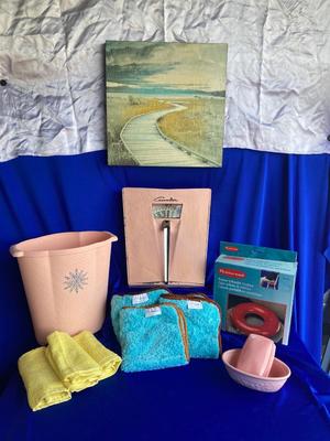 SUPER COOL VINTAGE COUNSELOR PINK SCALE WITH MATCHING WASTE BASKET & SOAP DISHES AND MORE