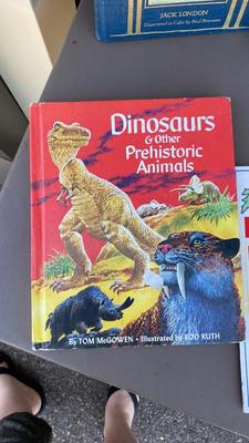 Wildlife and Dinosaur ðŸ¦• Adventures