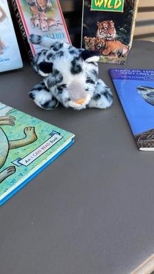Wildlife and Dinosaur ðŸ¦• Adventures