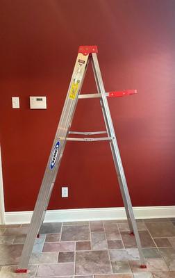 Werner 6 Foot Ladder