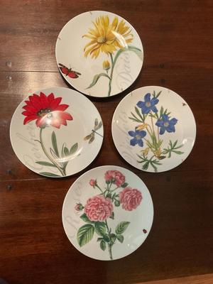 Set of Four Glass Pier1 Plates (4)