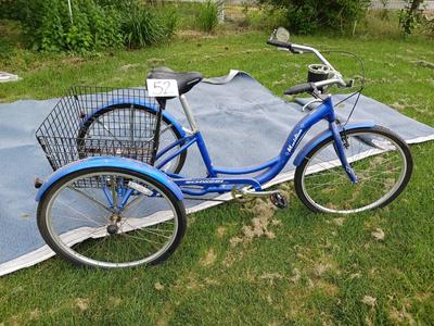 Schwinn incredible wheel trike