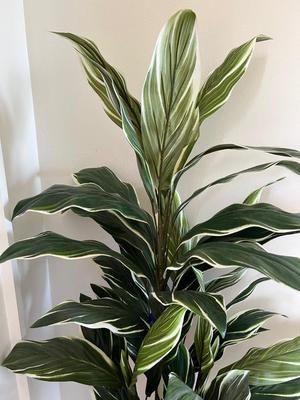 Artificial Potted Cordyline Tree by Ashland