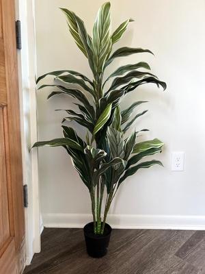 Artificial Potted Cordyline Tree by Ashland