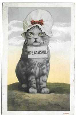 Mrs. Kaatskill Cat