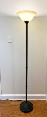 Bronze Torchiere Floor Lamp