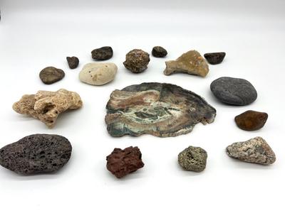 Petrified Wood & Rock Lot