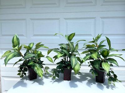 3 Artificial Plants