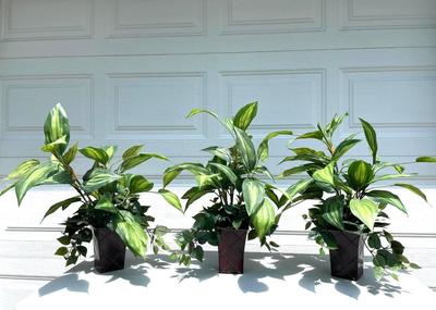 3 Artificial Plants