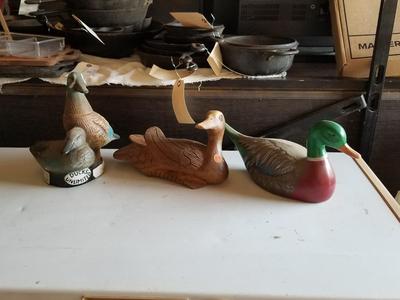 Decoy Ducks