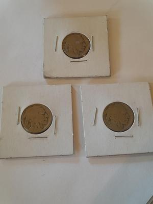 Three Buffalo head Nickels