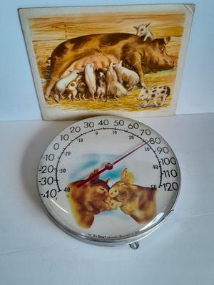 The Tru Temp thermometer with pigs and a 1966 DCC PUBL. CO. Pig print