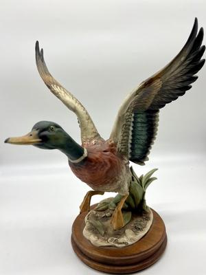 GIUSEPPE ARMANI FLYING MALLARD