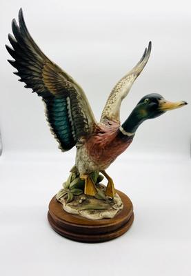 GIUSEPPE ARMANI FLYING MALLARD