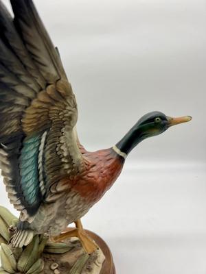 GIUSEPPE ARMANI FLYING MALLARD