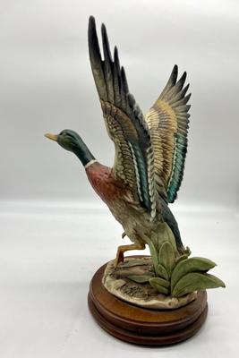 GIUSEPPE ARMANI FLYING MALLARD