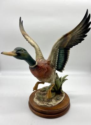 GIUSEPPE ARMANI FLYING MALLARD