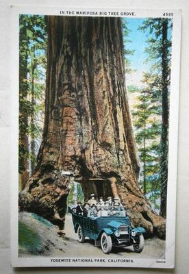 Yosemite National Park, CA