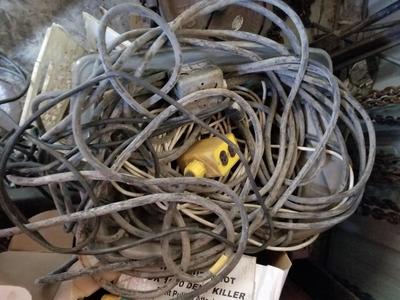 Cord Variety