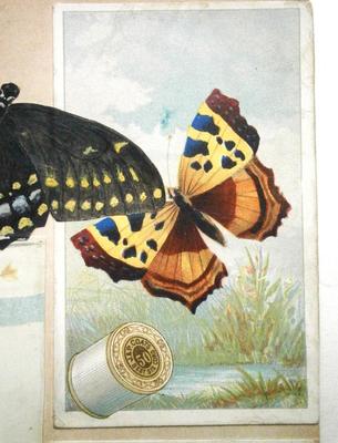 Victorian Scrap Page with Butterfly Trade Cards