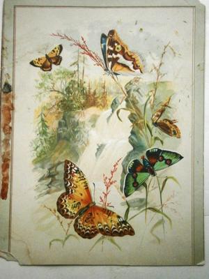Victorian Scrap Page with Butterfly Trade Cards