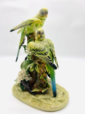 Parakeet & Cockatoo Andrea By SADEK Pair