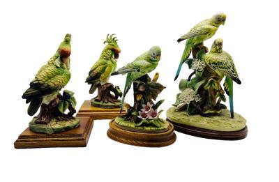 Parakeet & Cockatoo Andrea By SADEK Pair