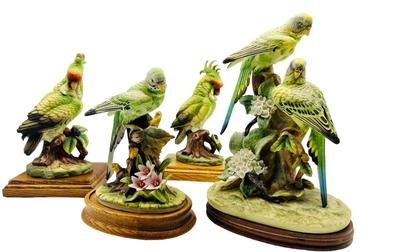 Parakeet & Cockatoo Andrea By SADEK Pair