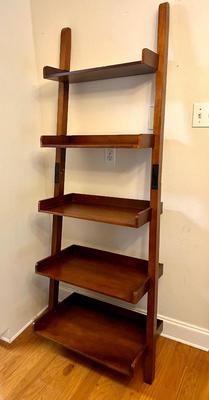 Ladder Shelf