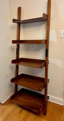 Ladder Shelf