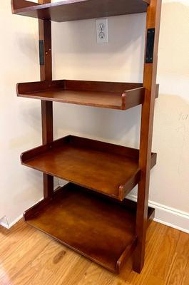 Ladder Shelf