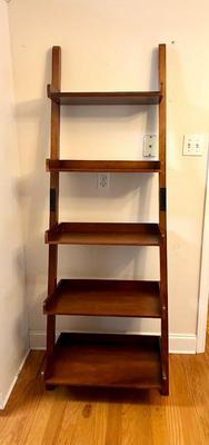 Ladder Shelf
