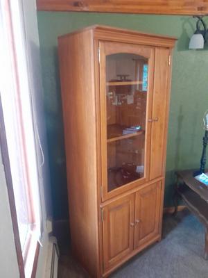 Tall media cabinet / stereo cabinet with media storage