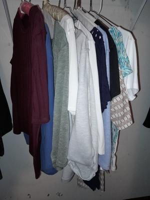 12 Short sleeve tops - Loz Claiborne - Under Armor - Tan Jay and others sizes Medium - Large