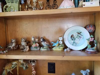 Birds