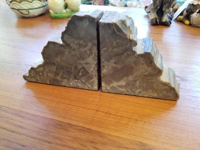 Petrified Wood Book Ends