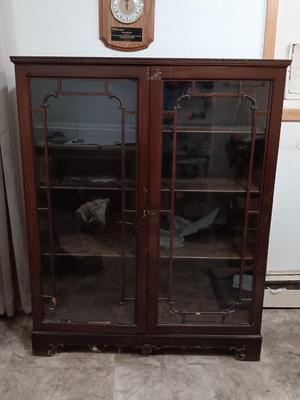 Antique Early 20th Century Art Deco Bookcase with Locking Door Led Lighted 3 Shelves