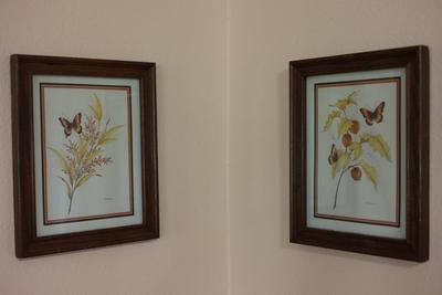 Two (2) Framed Prints By Stegmeier