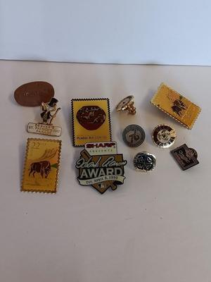 Nice collection of Hat pins