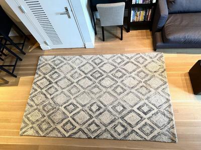 West Elm Prism Wool Rug 5' x 8'