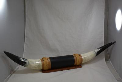 Vintage Texas Longhorn Steer Bull Horns, Mounted & Leather Wrapped 30.25" Wide