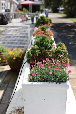 Three Concrete Planters (3). (See description)