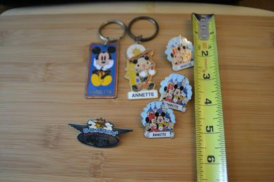 LOT 97. DISNEY PINS AND KEY CHAINS