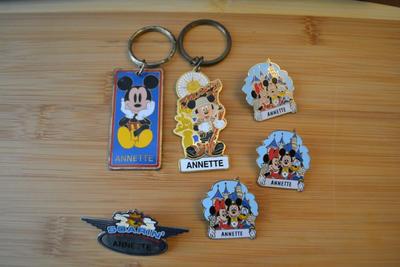 LOT 97. DISNEY PINS AND KEY CHAINS