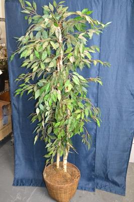 LOT 147. ARTIFICALPLANT/TREE