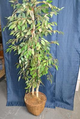 LOT 147. ARTIFICALPLANT/TREE