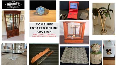 AUCTION ART WORK PLEASE  DO NOT BID ON THIS ITEM