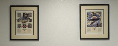 Nicolas Trudgian Signed and Numbered Pilot Prints