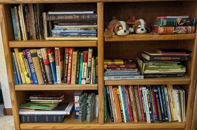 Reading Rainbow